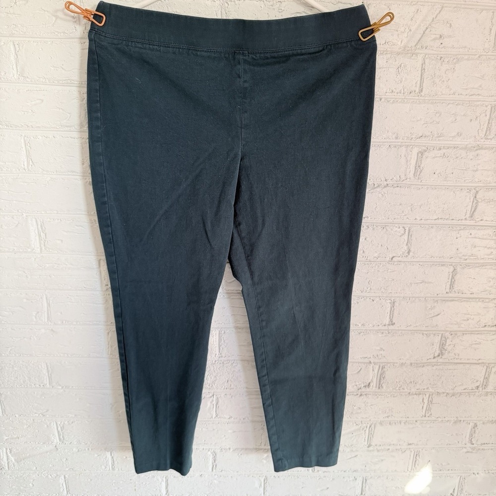 Talbots Essex Ankle‎ Skinny Pants Womens 12 Petite Blue/Green
